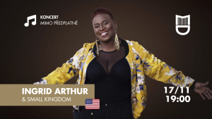 hudební vystoupení na koncertě