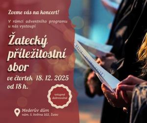 koncertní vystoupení