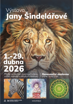 ilustrace zvířat a mandal